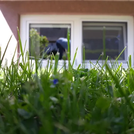 Unner Deck Aber Schick Stralsund